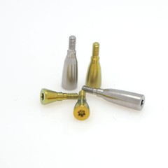 Straumann ITI Healing Abutment & Healing Caps Titanium Alloy Ø3.3–Ø6.5mm Implant