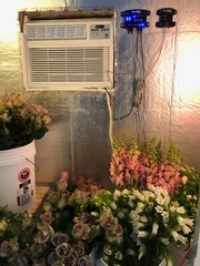CoolBot: Run a Walk-In Cooler down to 35°F with a window air conditioner