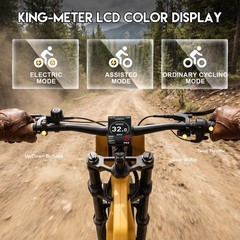 Sample Electric Bike, Original $1999.99 Now Only $599.99, Local Pickup Only