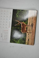 Sri Lanka 2023 Post Card Calendar Hardcover Sprial Bound 7″ x 9-1/2″ Black