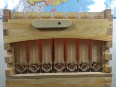 7 x Beekeeping Frames Bee Hive Frame for Auto Shed Beehive House Honey Boxes US