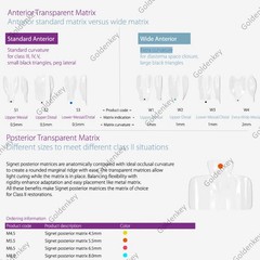 Clear Matrix Dental Anterior Posterior Transparent BT Matrices Fit BioClear