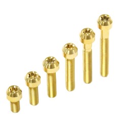 Titanium Socket Screws inner plum head Ti Bolts M4x10 15 20 25 30mm